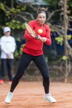 Bild 506 - BL DTV Hannover - BW Dresden Blasewitz : Ergebnis: 2:7